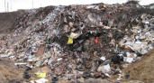 У организатора незаконной свалки под Воронежем конфискуют землю 