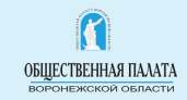 «Линия» Общественной палаты Воронежской области оказалась не такой уж «горячей»