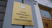 Воронежская гордума отменит всенародные выборы мэра