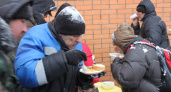 Волонтеры призывают воронежцев покормить под Новый год бездомных 