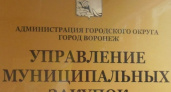 Воронежский мэр допустил закупки у единственного продавца из-за «острой необходимости»