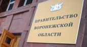 Воронежский губернатор подобрал замену Оксане Соколовой