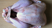 В Воронеже нашли вирус птичьего гриппа в мясе индеек
