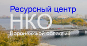 Президентский Совет нашёл слабые места воронежских НКО 