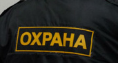 Росгвардия намерена сделать рынок охранных услуг в Воронеже цивилизованным 