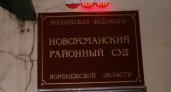 Суд встал на сторону знакомых воронежского вице-губернатора