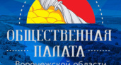 В Воронежской области создали казенное учреждение для общественников