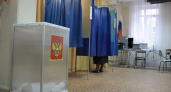 ЕСПЧ рассмотрит сообщения о подтасовках на воронежских выборах в Госдуму