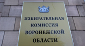 Воронежская область опять попала в поле зрения Центризбиркома