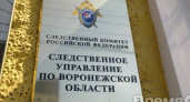 В воронежском следственном управлении началась проверка по делу Павла Пономарева