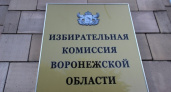 В Воронеже кандидат от Казачьей партии сошел с губернаторской гонки