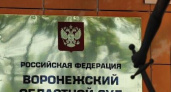 Воронежский облсуд купит квартиру у директора структуры ФК «Аксиома» за 11 млн рублей