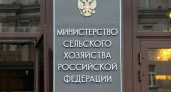 Минсельхоз одобрил 9,4 млрд рублей краткосрочных кредитов воронежским аграриям