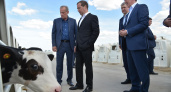Дмитрий Медведев оценил уровень развития воронежских сел и качество дорог