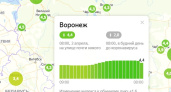Яндекс дал Воронежу самую высокую оценку самоизоляции среди миллионников
