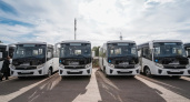 На воронежские маршруты выйдут сразу 12 новых автобусов
