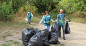 По Воронежем активисты избавили от мусора около 4 га берегов реки Дон