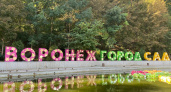 Александр Гусев объявил об открытии XI воронежского международного фестиваля «Город-сад»