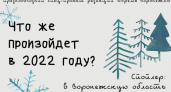 Что ожидает воронежцев в 2022 году