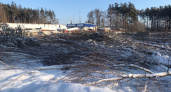 Ущерб от вырубки деревьев на ул. Планетная в Воронеже составил 2,5 млн рублей