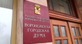 Беднейший депутат Воронежской городской Думы живет на 363,3 рубля в сутки