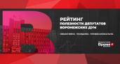 Рейтинг полезности воронежских депутатов 2.0