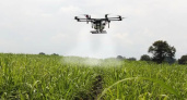 Сообщения о запрете использования аграрных БПЛА в Воронежской области оказались преждевременными