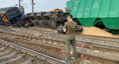 Причину схода восьми вагонов с зерном в Воронежской области назвал Следственный комитет
