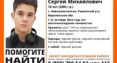 Полиция просит воронежцев помочь найти пропавшего юношу