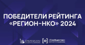Работу воронежских НКО оценили на федеральном уровне