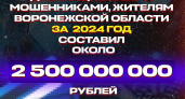Правоохранители посчитали итоговый ущерб, который понесли воронежцы от действий мошенников