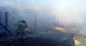В селе Елань-Колено Новохоперского района пожар уничтожил хозпостройку