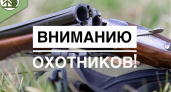 В регионе стартует приём заявок на разрешение для охоты на пушных животных