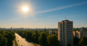 30 августа воронежцев ожидает летняя жара и ясное небо