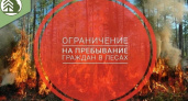 Ограничение на пребывание в лесах Воронежской области продлено до конца сентября