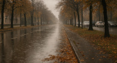 В Воронеже 11 октября сохранится пасмурная и дождливая погода