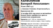 В Острогожском районе ищут пропавшего 78-летнего мужчину на серебристом Renault Duster