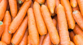 Откуда берется горечь в моркови и как ее избежать