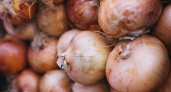 Почему озимый лук получается особенно вкусным