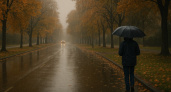 Дождливый день ожидается в Воронеже 31 октября