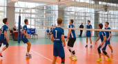 В Воронеже прошли решающие игры Первенства области по волейболу среди юношей