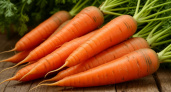 Морковь, которая не подведет: самые надежные сорта для вашего огорода