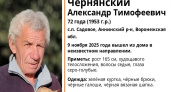 В селе Садовое Аннинского района пропал 72-летний мужчина