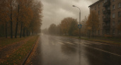 11 ноября в Воронеже ожидается облачная погода с дождём