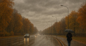 Переменная облачность и небольшой дождь ожидаются в Воронеже 18 ноября