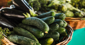 Каждый год покупаю семена огурцов: какие стоит выбрать в январе, чтобы летом не жалеть