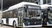 В «Воронежпассажиртранс» поступили 10 новых автобусов-гармошек