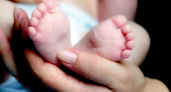 99 малышей появились на свет в Воронежской области за три месяца благодаря ЭКО