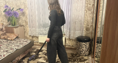 Больше не таскаю ковёр на улицу и не лью на него воду — старый советский журнал показал мне способ чистить ковёр за 2 часа 