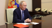 Благодарность главам 8 районов Воронежской области выразил Путин